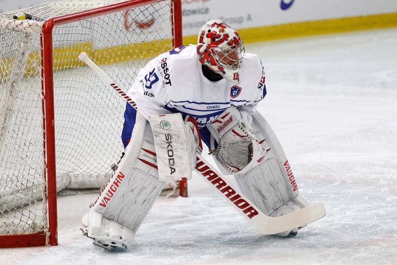 Ice Hockey. EIHC. Poland - France. 19.12.2015
