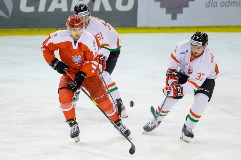Ice Hockey. International Friendly. Poland - Hungary. 18.12.2020