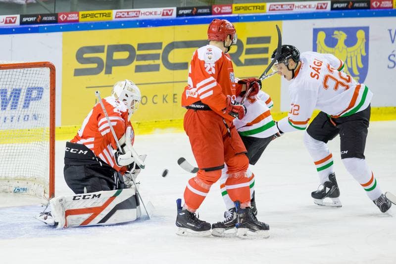 Ice Hockey. International Friendly. Poland - Hungary. 18.12.2020