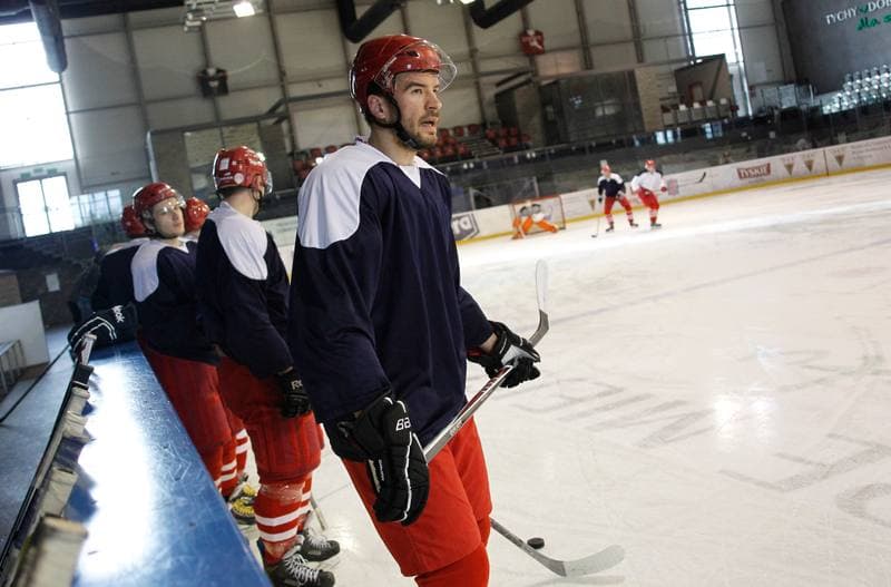 Ice Hockey. Poland national team. Training. 14.04.2015