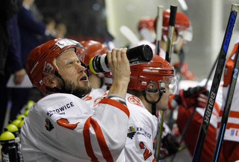 Ice Hockey. Euro Ice Hockey Challenge. Poland - Slovenia. 05.11.2015