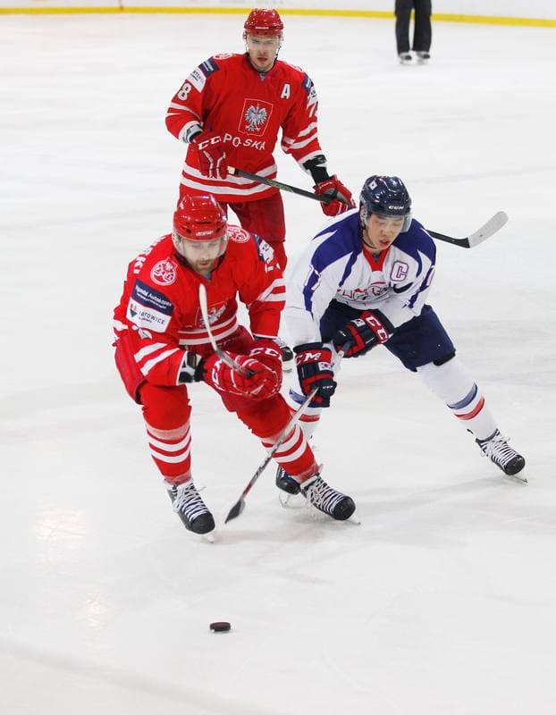 Ice Hockey. International Friendly Match. Poland - Korea. 16.04.2016