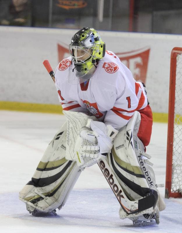 Ice Hockey. Poland national team. Press Conference. 06.02.2013