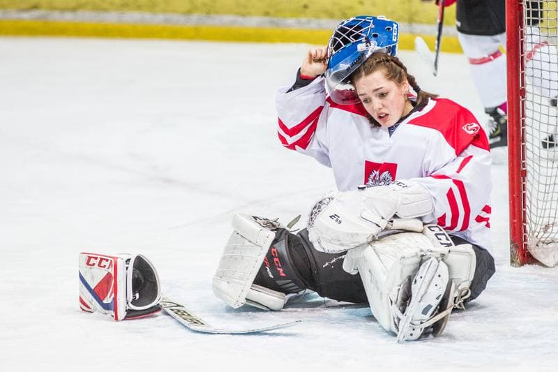 Ice Hockey. EWHL. Silesia Breckens - Hvidovre IK Selects. 01.12.2019
