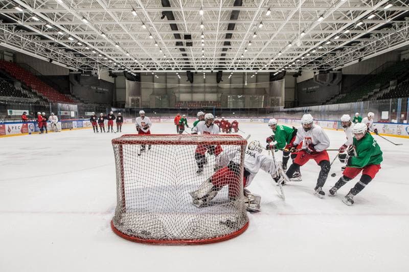 Ice Hockey. Poland U20. Training. 02.11.2020