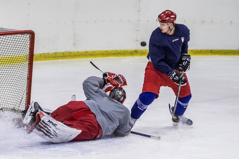 Ice Hockey. Poland national team. Training. 14.12.2020