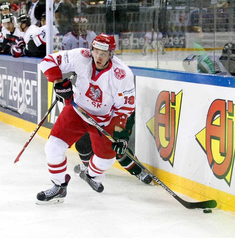 Ice Hockey. IIHF World Championship Division 1A. Poland - Japan. 20.04.2015