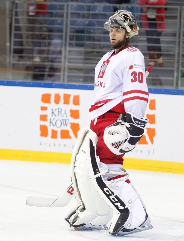Ice Hockey. IIHF World Championship Division 1A. Poland - Ukraine. 22.04.2015