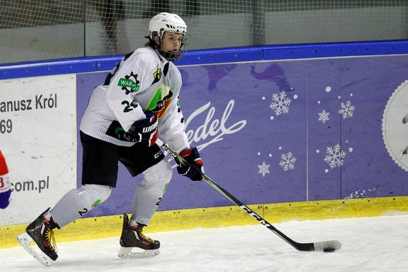 Ice Hockey. PLHK. Naprzod Janow - Polonia Bytom. 18.01.2018