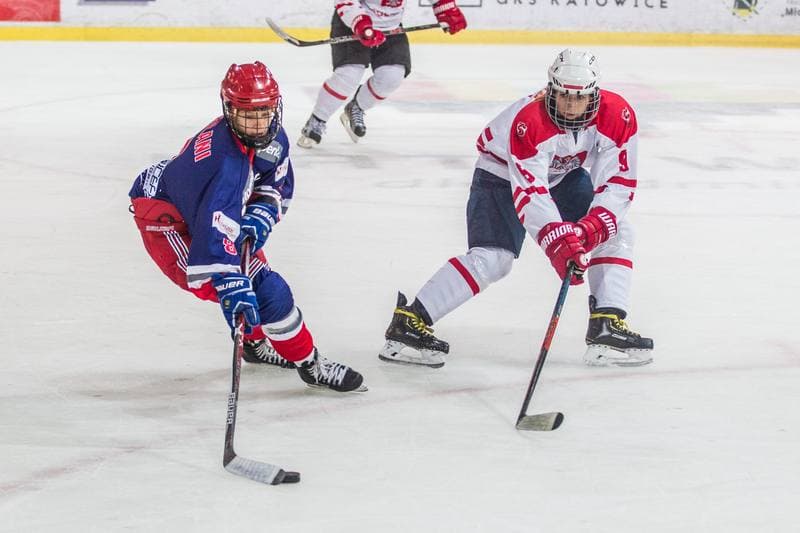 Ice Hockey. EWHL. Silesia Brackens - EVB Eagles. 29.09.2019