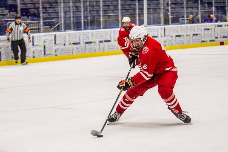 Ice Hockey. Friendly Match. Poland U20 - HK Nitra. 16.08.2019