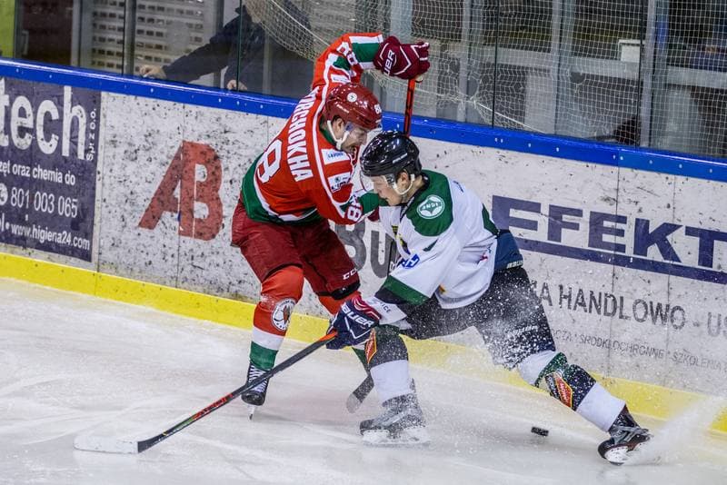 Ice Hockey. PHL. Naprzod Janow - Zaglebie Sosnowiec. 03.11.2019