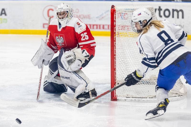Ice Hockey. EWHL. Orlice Bytom - SKP Bratislava. 20.11.2022