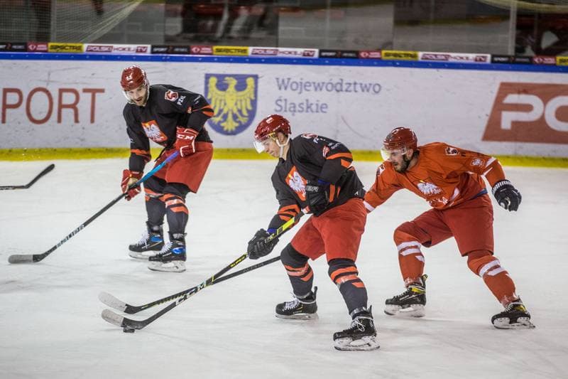 Ice Hockey. Poland national team. Training. 13.04.2021