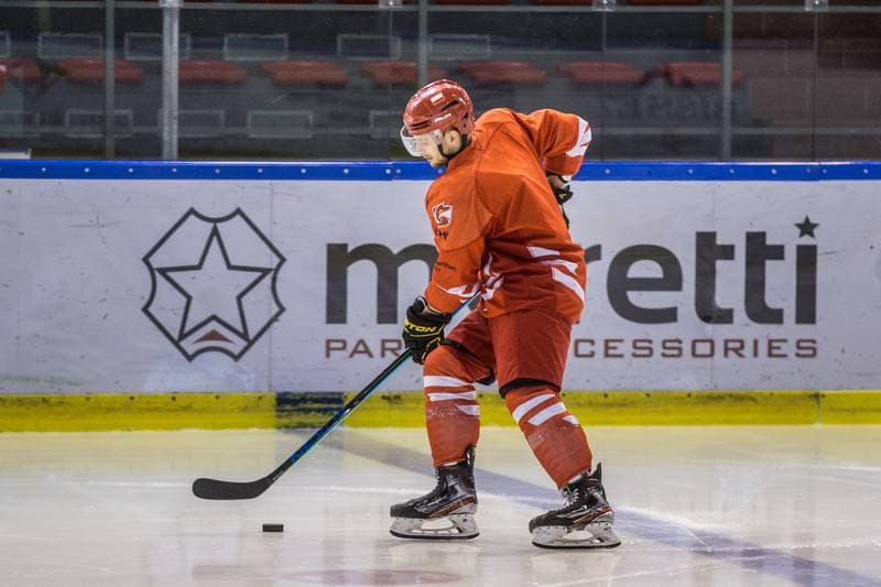 Ice Hockey. Poland national team. Training. 15.04.2021