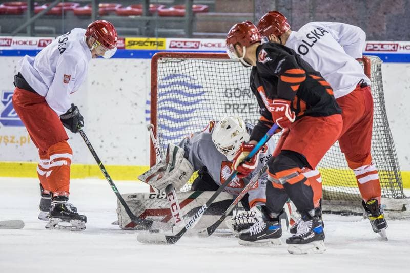Ice Hockey. Poland national team. Training. 15.04.2021
