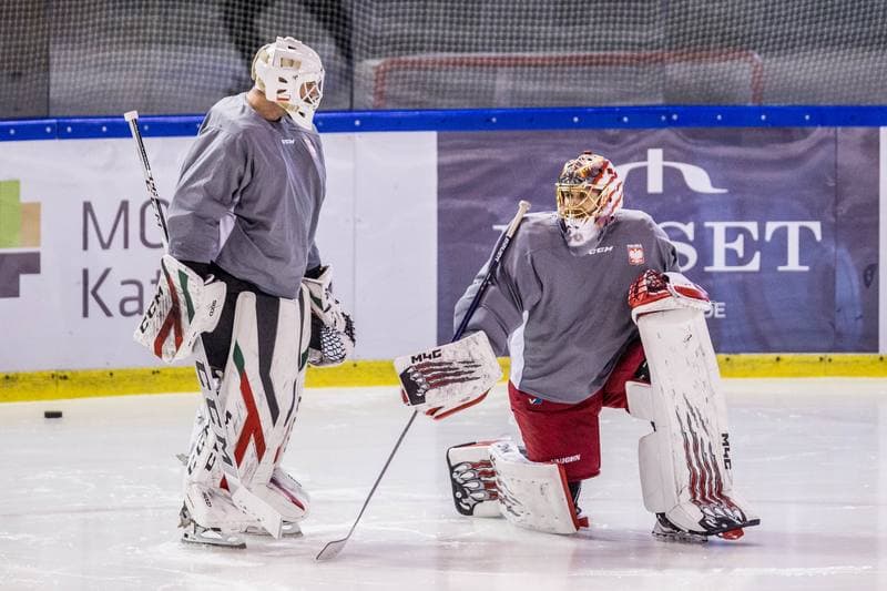 Ice Hockey. Poland national team. Training. 14.12.2020