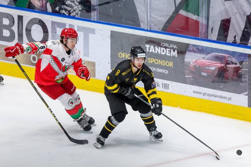 Ice Hockey. Tauron Hokej Liga. Zaglebie Sosnowiec - GKS Katowice. 03.11.2023