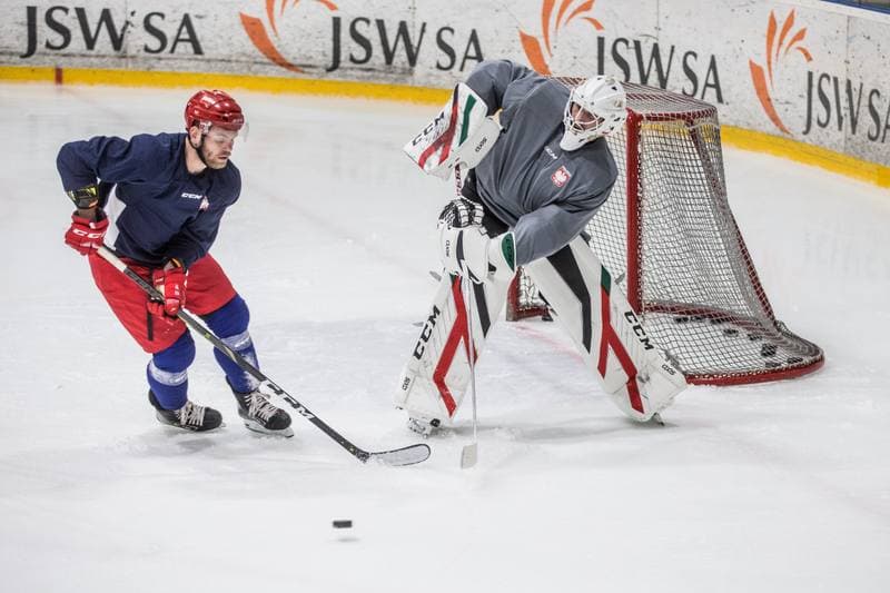 Ice Hockey. Poland national team. Training. 02.11.2020