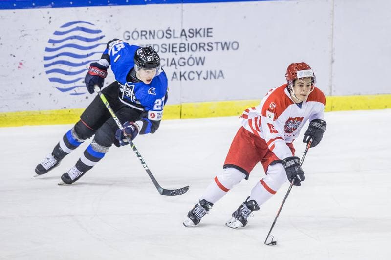 Ice Hockey. Three Seas Tournament. Poland - Estonia. 18.04.2021