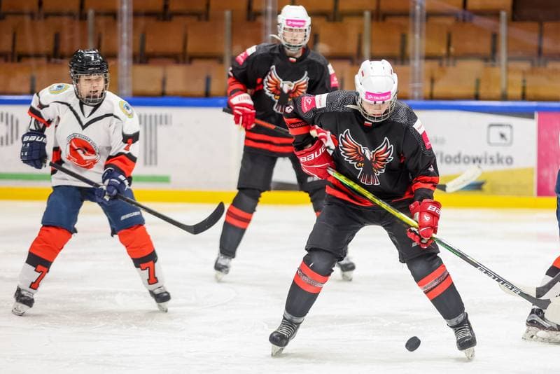 Ice Hockey. EWHL. Tauron Metropolia Silesia - Aisulu Almaty. 26.11.2023