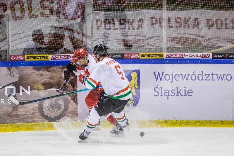 Ice Hockey. International Friendly. Poland - Hungary. 17.12.2020