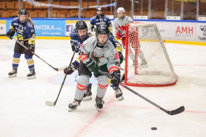 Ice Hockey. EWHL. TAURON Metropolia Silesia - KSV Neuberg Highlanders. 30.09.2023