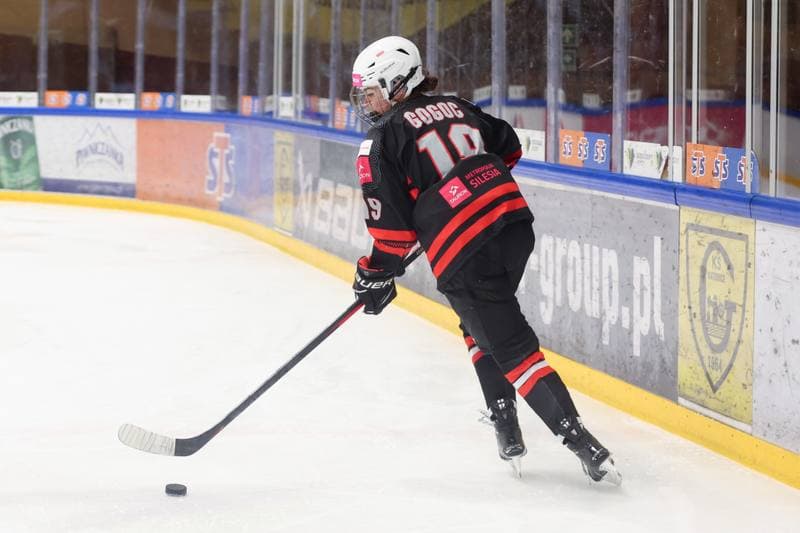 Ice Hockey. EWHL. Tauron Metropolia Silesia - KEHV Lakers. 04.02.2024