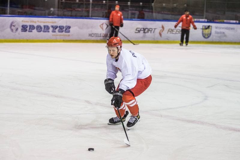 Ice Hockey. Poland national team. Training. 13.04.2021