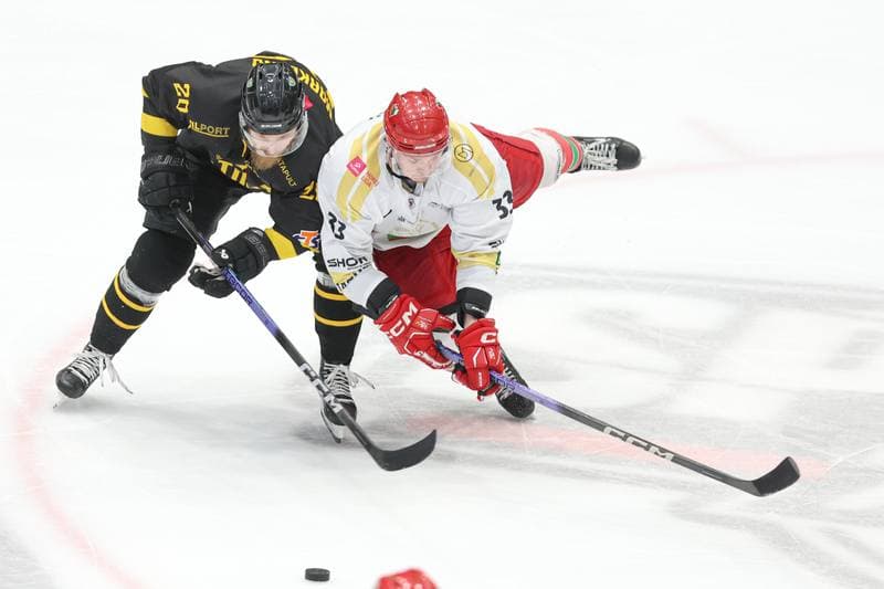 Ice Hockey. Tauron Hokej Liga. Zaglebie Sosnowiec - GKS Katowice. 12.03.2024