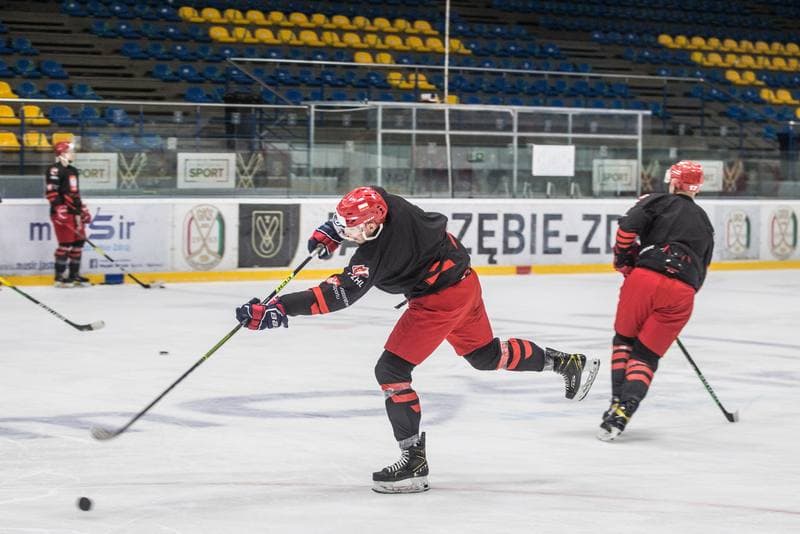 Ice Hockey. Poland national team. Training. 02.05.2021