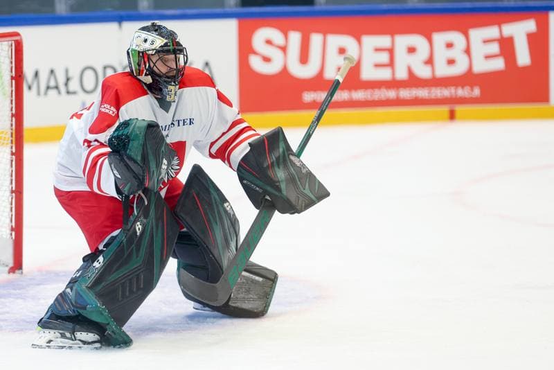 Ice Hockey. Friendly Match. Poland - Hungary. 12.04.2024