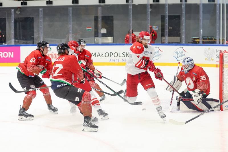 Ice Hockey. Friendly Match. Poland - Hungary. 12.04.2024