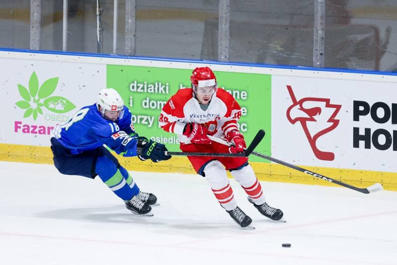 Ice Hockey. Friendly Match. Poland - Slovenia. 18.04.2024