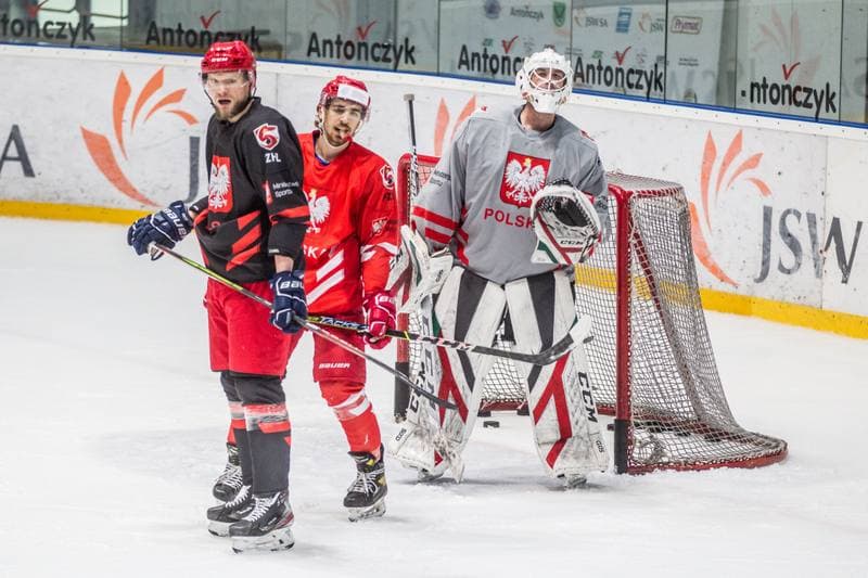 Ice Hockey. Poland national team. Training. 11.05.2021