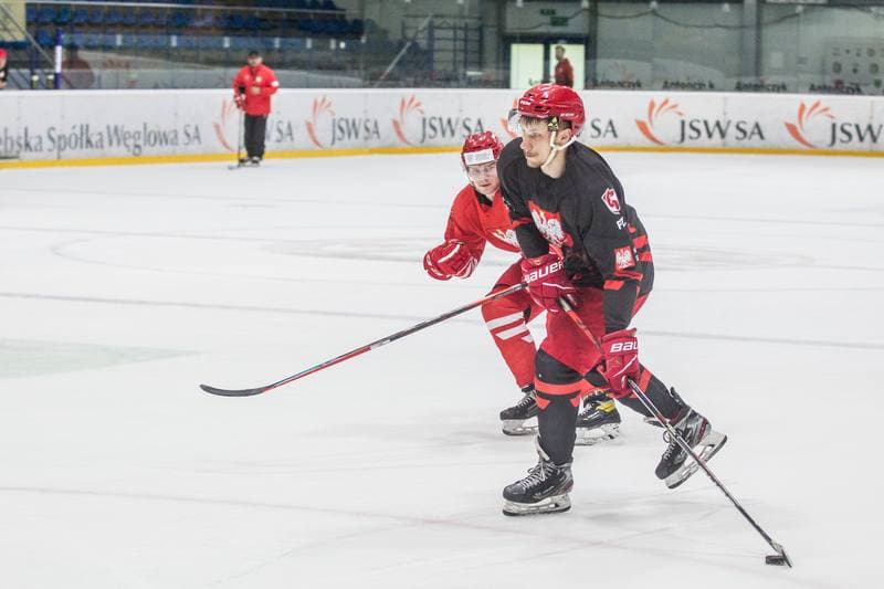 Ice Hockey. Poland national team. Training. 11.05.2021