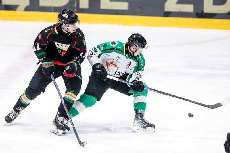 Ice Hockey. Tauron Hokej Liga. JKH GKS Jastrzebie - GKS Tychy. 20.10.2024