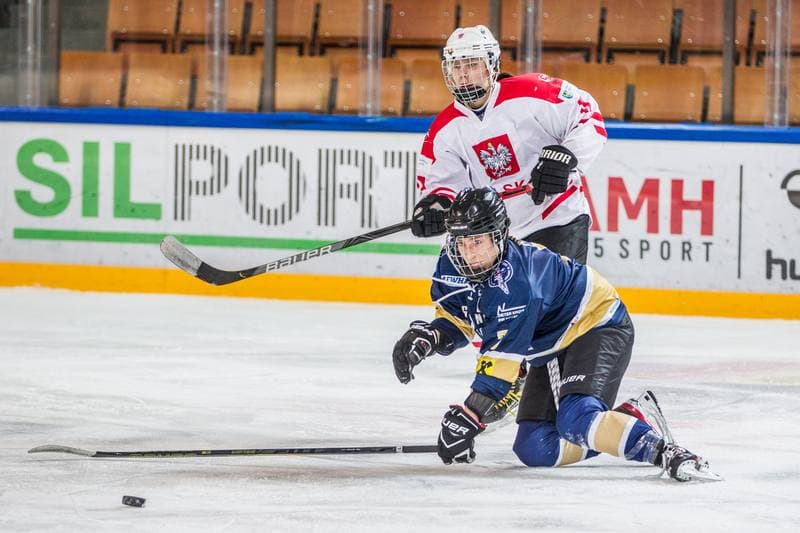 Ice Hockey. EWHL. Polska - KSV Neuberg Highlanders. 30.01.2022