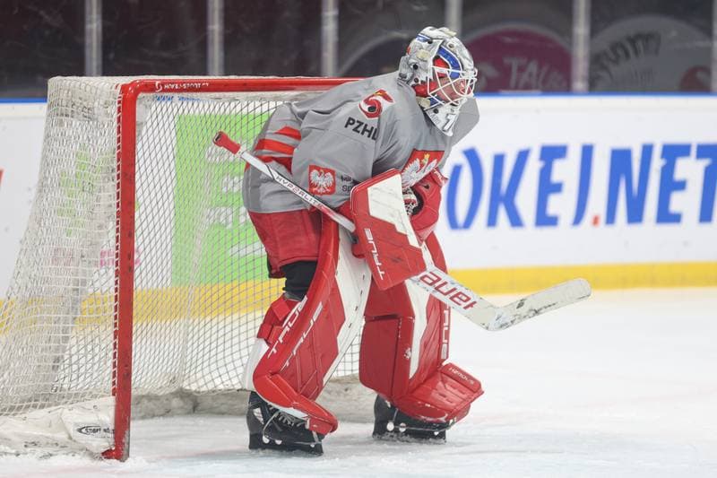 Ice Hockey. Poland national team. Training. 22.04.2024