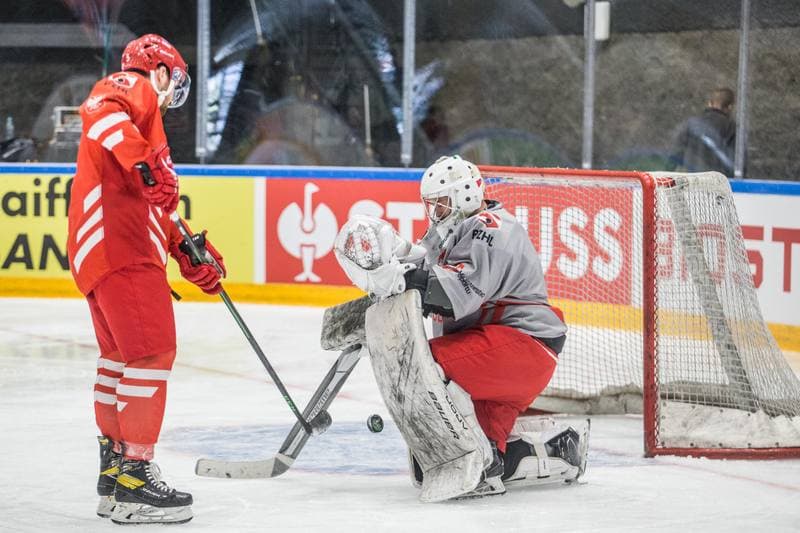 Ice Hockey. Poland national team. Training. 29.04.2022