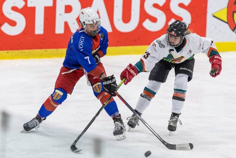 Ice Hockey. PLHK. Kojotki Naprzod Janow - BS Polonia Bytom. 09.11.2022