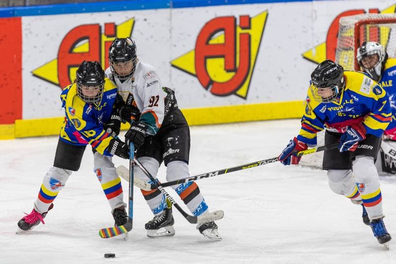 Ice Hockey. PLHK. Kojotki Naprzod Janow - MMKS Podhale Nowy Targ. 12.11.2022
