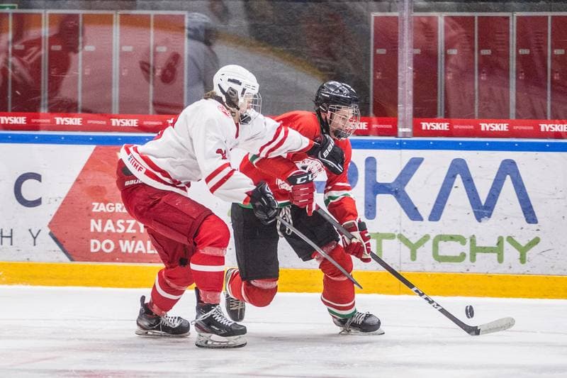 Ice Hockey. International Friendly. Poland U20 - Hungary U20. 09.04.2021