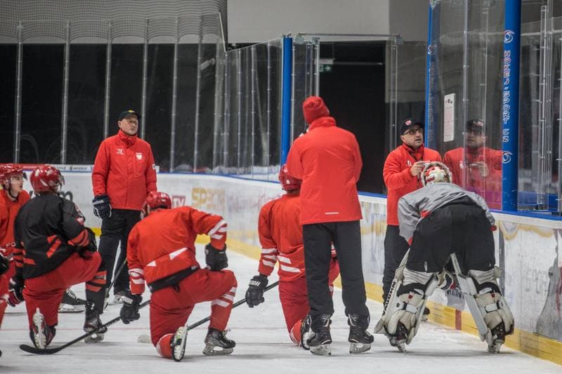 Ice Hockey. Poland national team. Training. 13.12.2021
