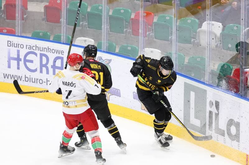 Ice Hockey. Tauron Hokej Liga. Zaglebie Sosnowiec - GKS Katowice. 21.01.2024