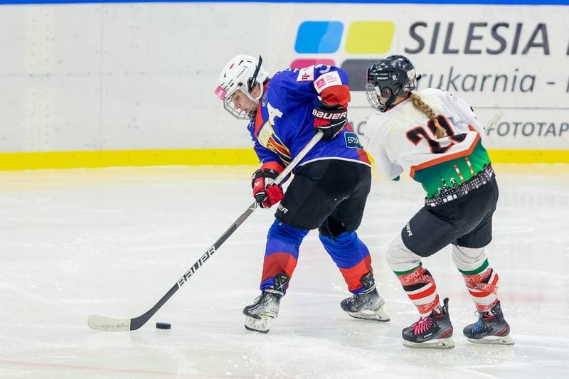 Ice Hockey. Tauron Liga Hokeja Kobiet. Kojotki Naprzod Janow - SMS Polonia Bytom. 09.09.2023