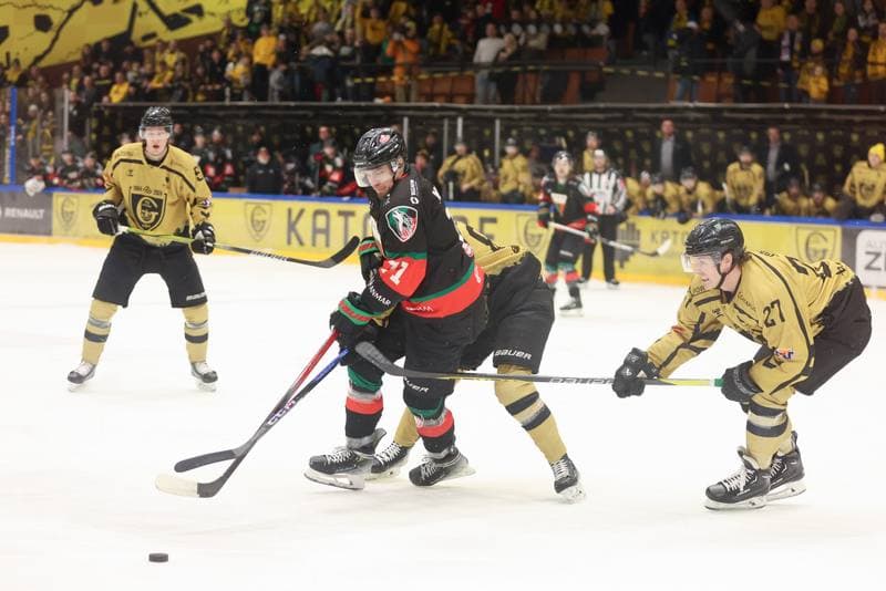 Ice Hockey. Tauron Hokej Liga. GKS Katowice - GKS Tychy. 28.01.2024