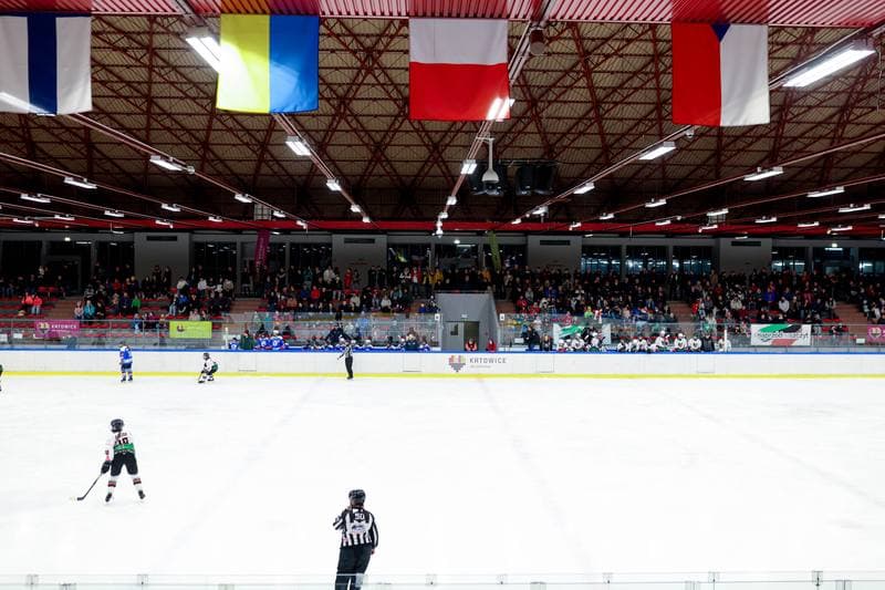 Ice Hockey. Tauron Liga. Kojotki Naprzod Janow - Stoczniowiec Gdansk. 24.02.2024