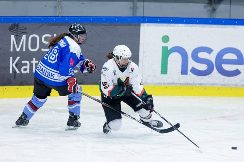 Ice Hockey. Tauron Liga. Kojotki Naprzod Janow - Stoczniowiec Gdansk. 24.02.2024