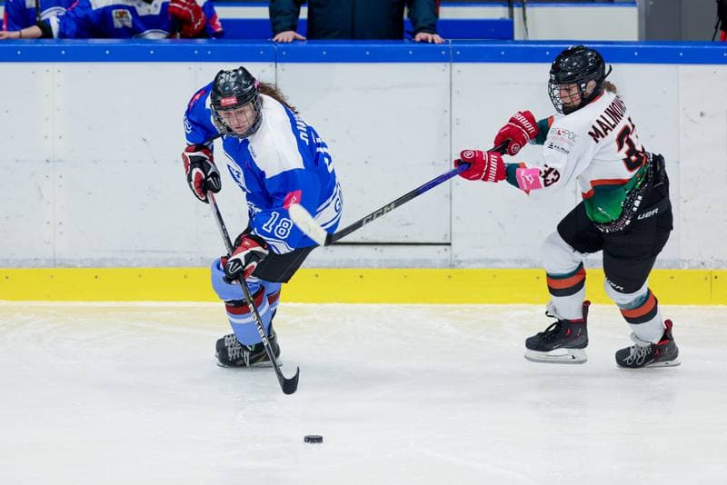 Ice Hockey. Tauron Liga. Kojotki Naprzod Janow - Stoczniowiec Gdansk. 24.02.2024
